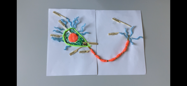Nachbau einer Nervenzelle