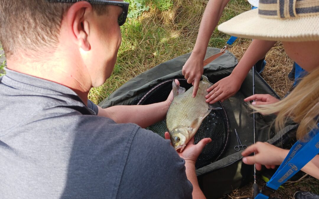 Fische und noch vieles mehr