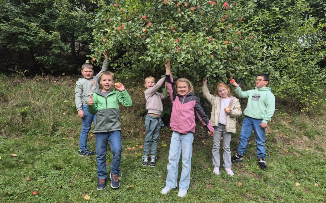 Apfelernte & Kuchenzeit in der OGTS