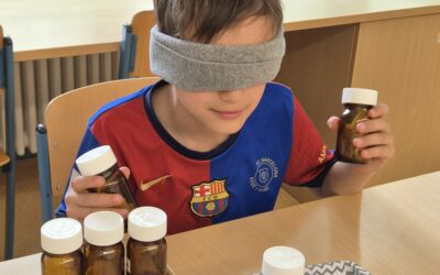 Die fünf Sinne spielerisch entdecken – Ein Projekt der OGTS
