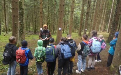 Waldjugendspiele in Amberg